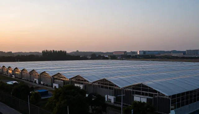 健康检查适用人群选择与使用建议